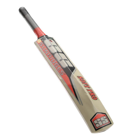 Willow Cricket Bat